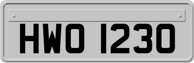 HWO1230