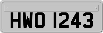HWO1243