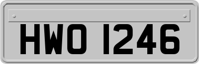 HWO1246