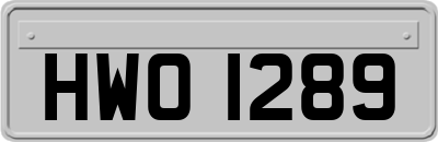 HWO1289