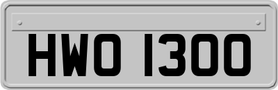 HWO1300