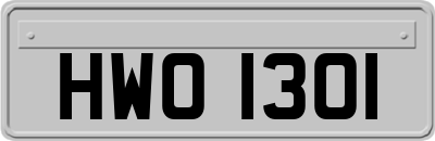 HWO1301