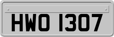 HWO1307