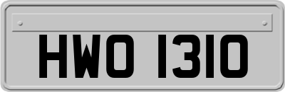 HWO1310