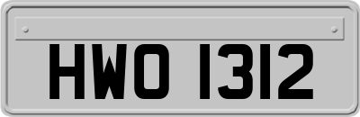HWO1312