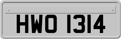 HWO1314
