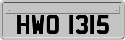 HWO1315