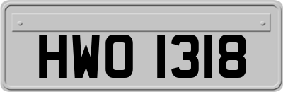 HWO1318