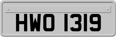HWO1319
