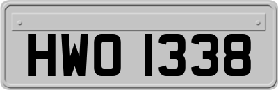 HWO1338