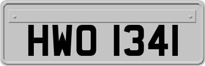 HWO1341