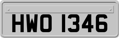 HWO1346