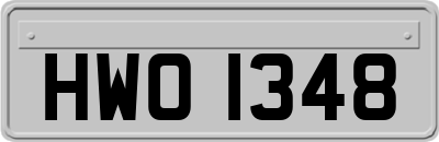 HWO1348