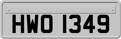 HWO1349