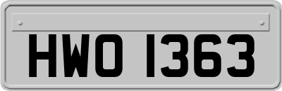 HWO1363