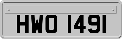 HWO1491