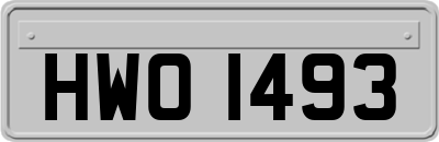 HWO1493