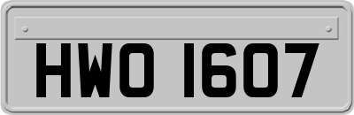 HWO1607