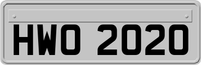 HWO2020