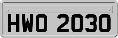 HWO2030
