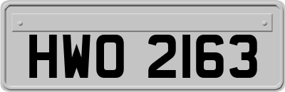 HWO2163