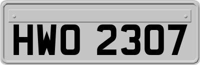 HWO2307