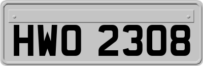 HWO2308