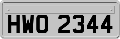 HWO2344
