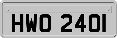 HWO2401