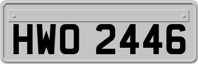 HWO2446