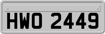 HWO2449