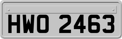 HWO2463