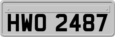 HWO2487