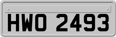 HWO2493