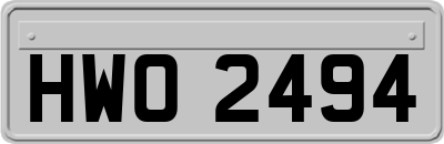 HWO2494