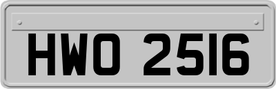 HWO2516