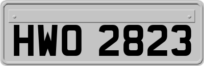 HWO2823