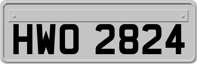 HWO2824