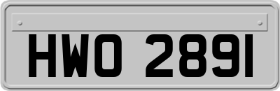 HWO2891