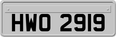 HWO2919