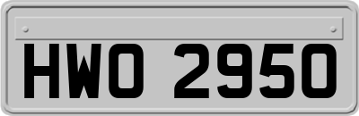 HWO2950