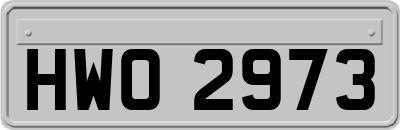 HWO2973