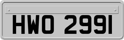 HWO2991