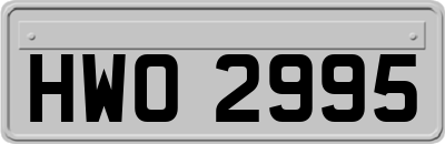HWO2995