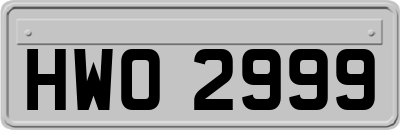 HWO2999