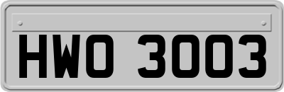 HWO3003