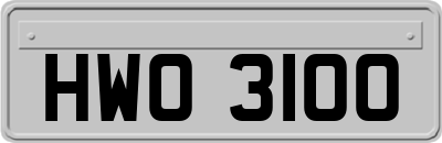 HWO3100