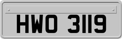 HWO3119