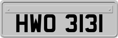 HWO3131