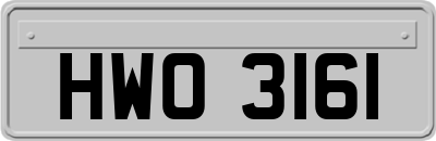 HWO3161